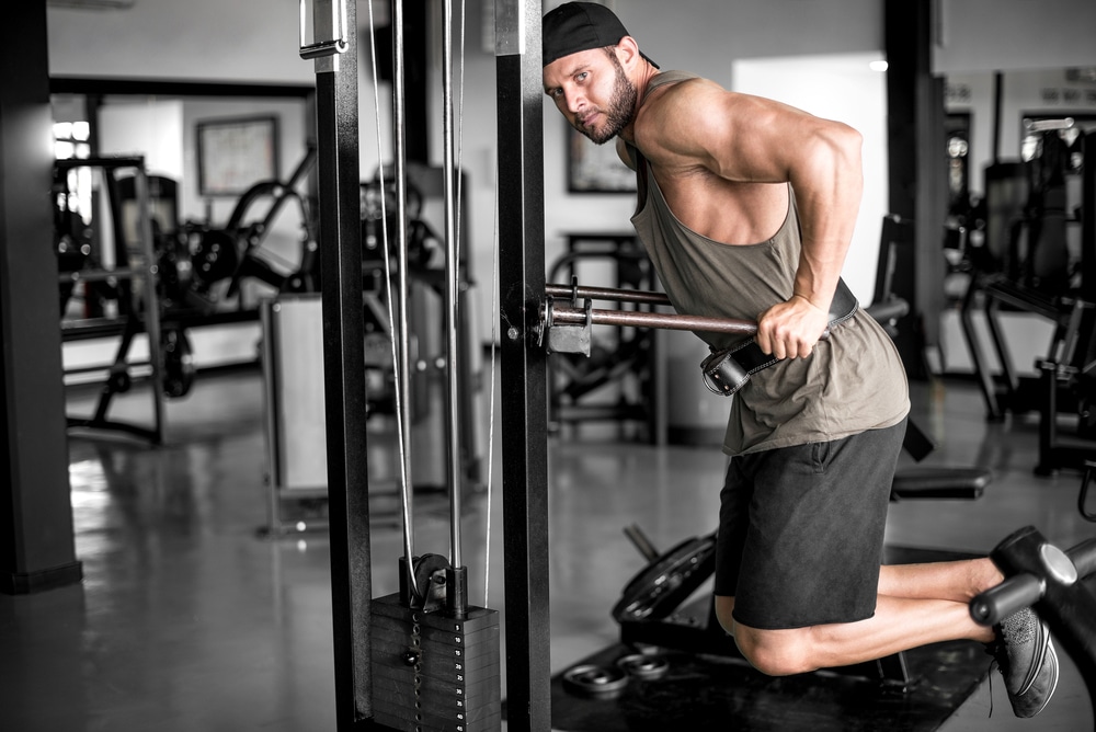 Attractive Young Adult Man Doing Dips Exercise In Modern Fitness