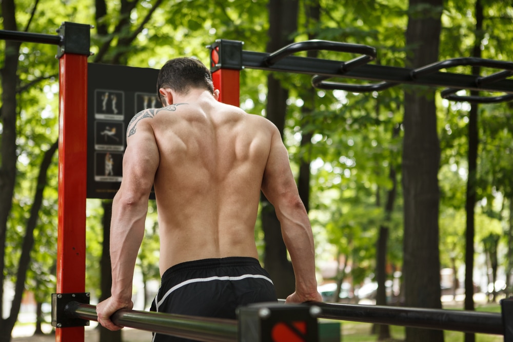 Rear View Shot Of Ripped Athletic Man Doing Triceps Dips