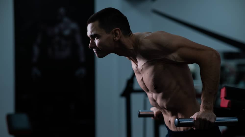 Shirtless Man Doing Triceps Dips From Parallel Bars In Gym