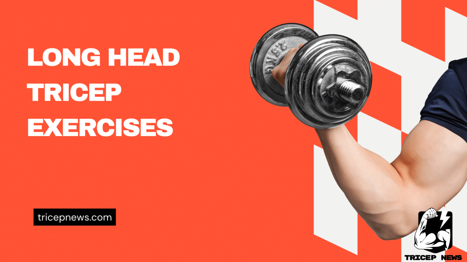 long head tricep exercises