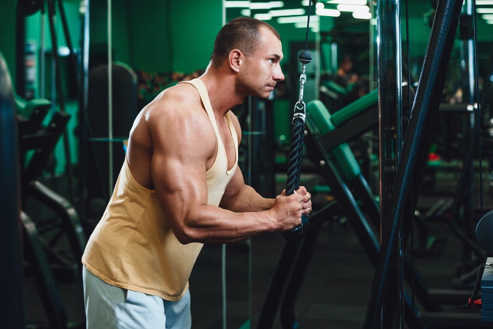 Exercise For Triceps In The Gym