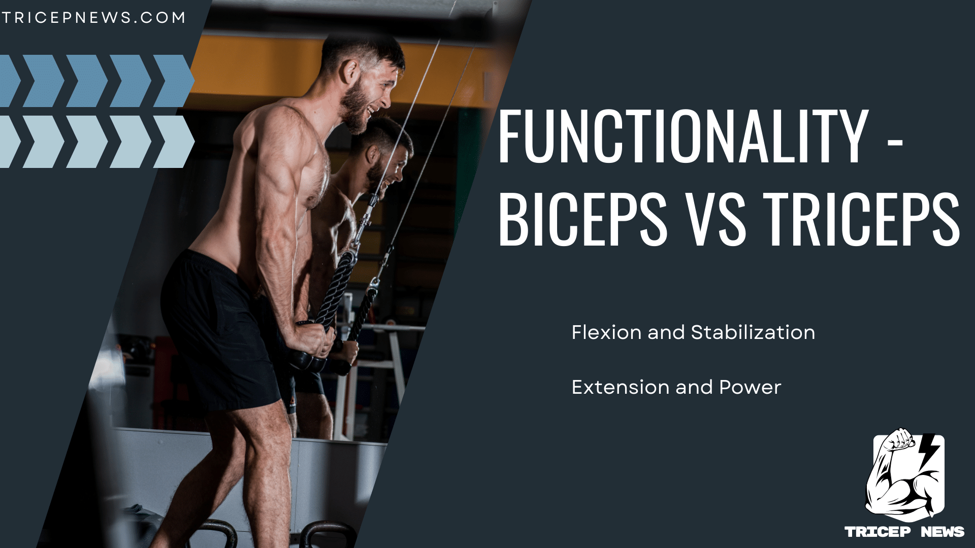 Functionality Biceps vs Triceps