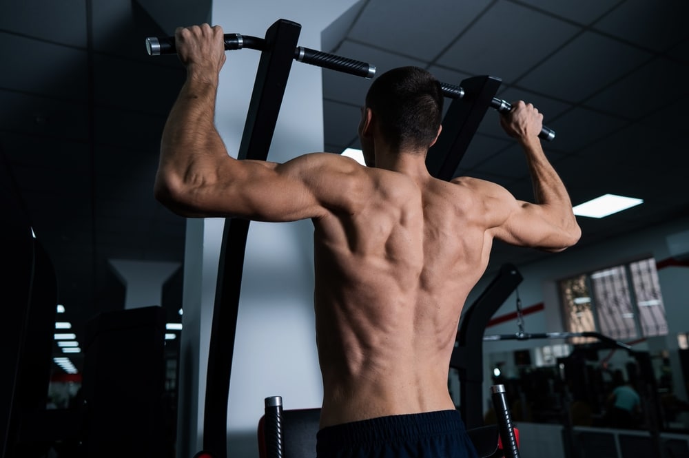 Back View Of Shirtless Man With Pull ups In Gym