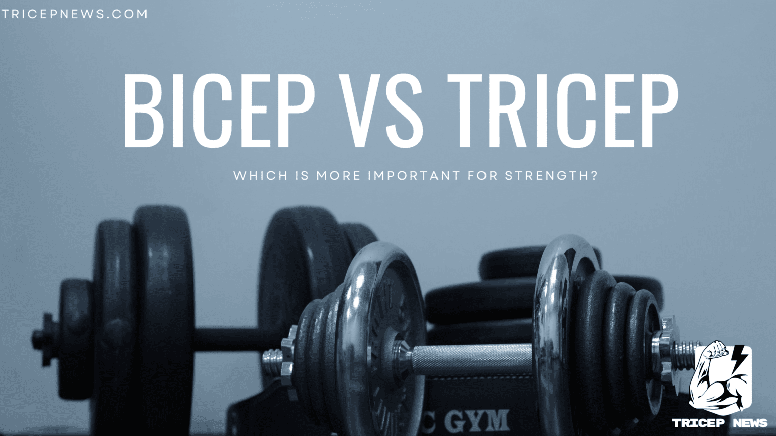 bicep or tricep best for strength a complete guide