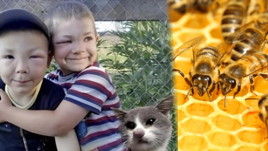 The Great Honey Heist: Two Friends and a Cat on a Sweet Streak” Untitled design ( )