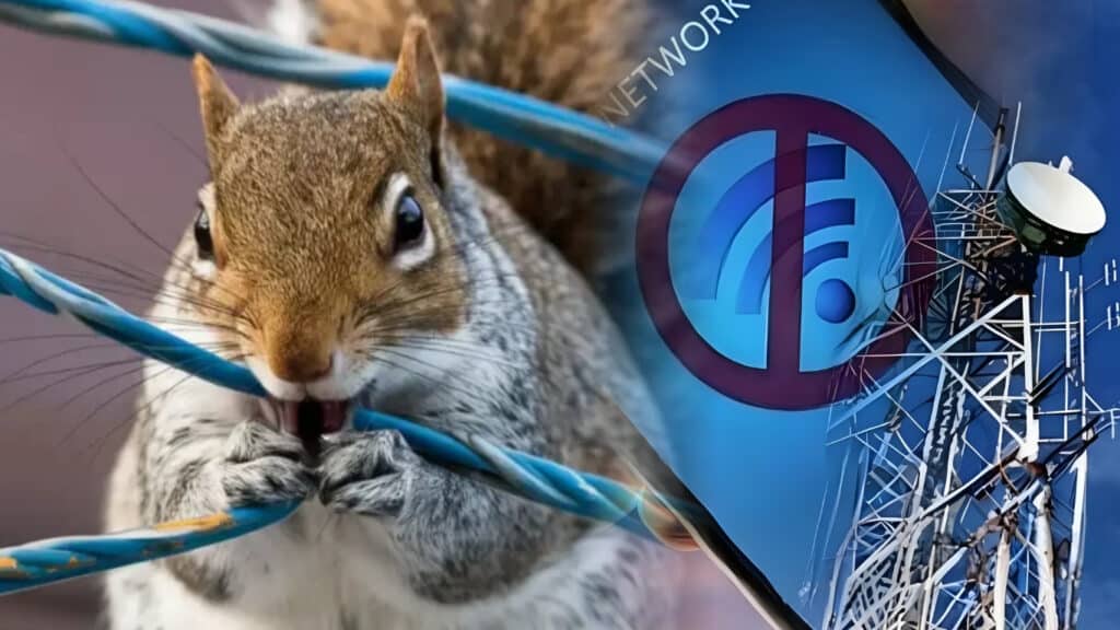 Squirrel Blamed for Entire Government Internet Outage in Ohio: A Shocking Cause of Cyber Disruption