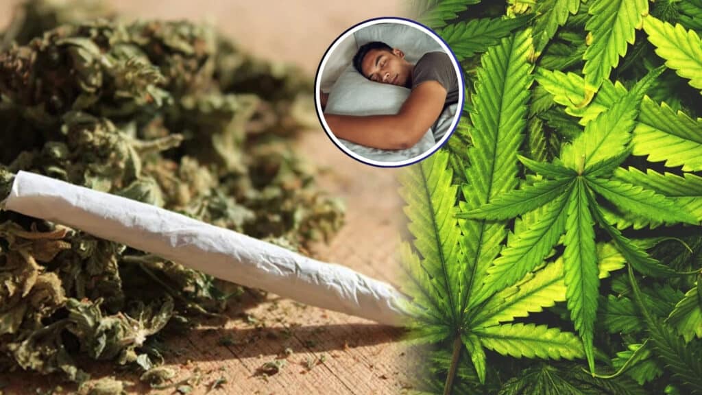 Cannabis and the Aging Brain: The “Surprising” Study That’s Turning Assumptions Upside Down