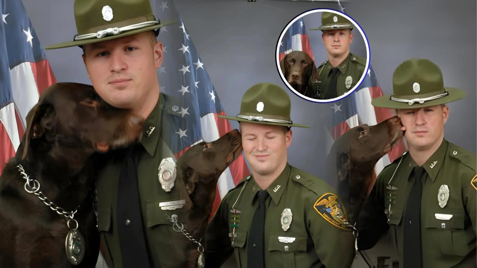 Canine Chaos and Cops: When K‑9 Affection Steals the Spotlight